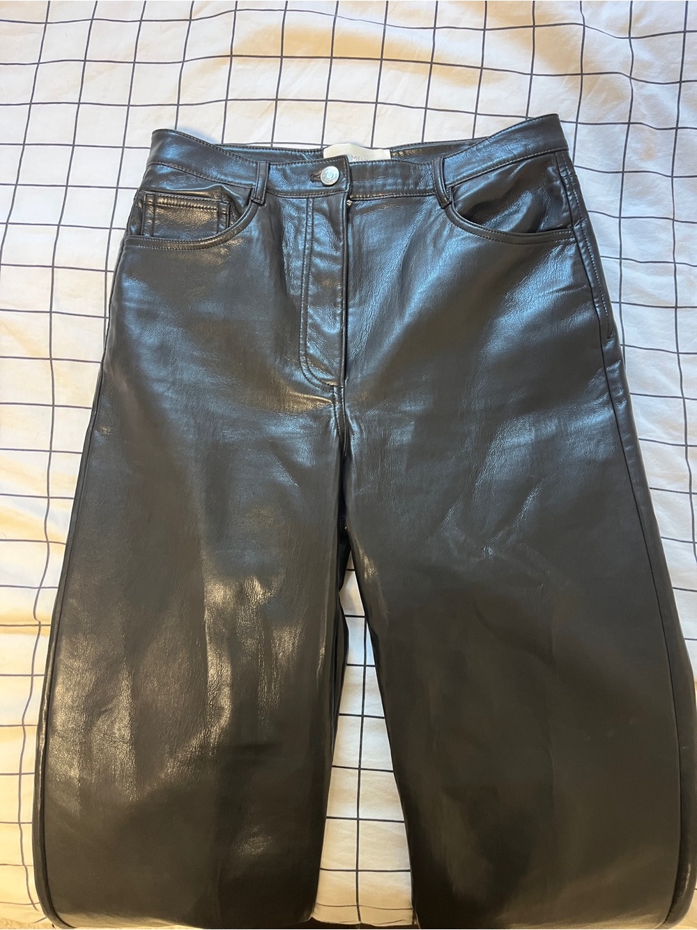 Aritzia Melina Faux Leather Pant